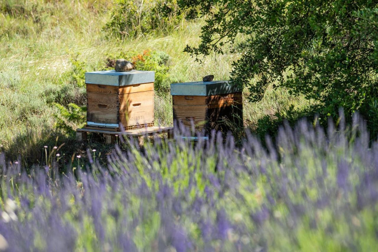 Holiday home Domaine Calmel & Joseph Montirat (Aude)