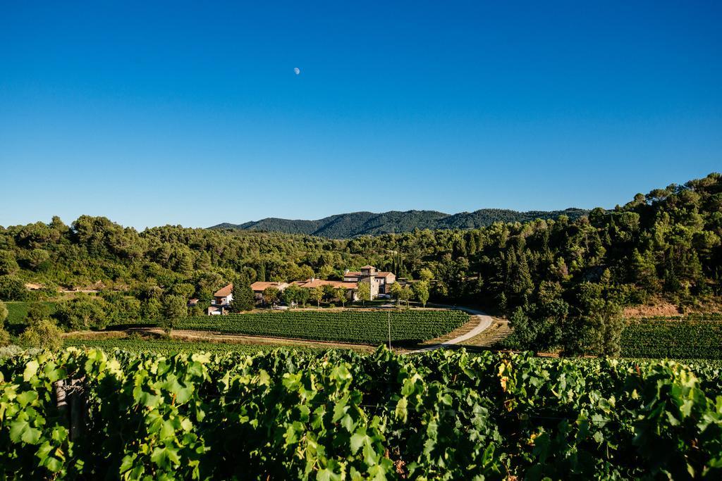 Domaine Calmel & Joseph Montirat (Aude)