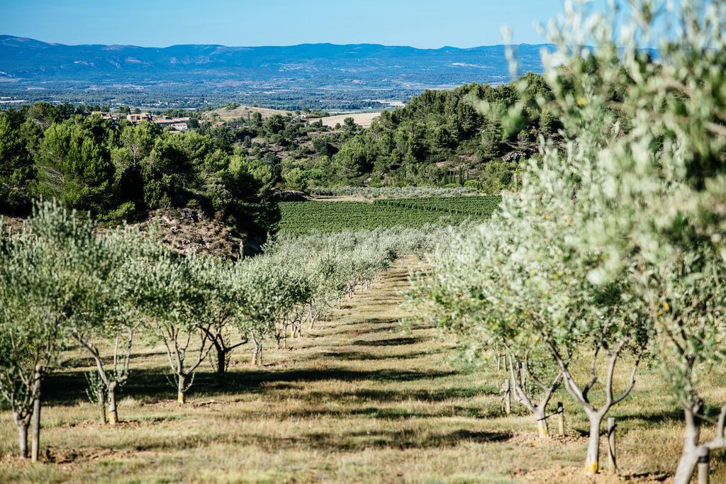 Holiday home Domaine Calmel & Joseph Montirat (Aude)