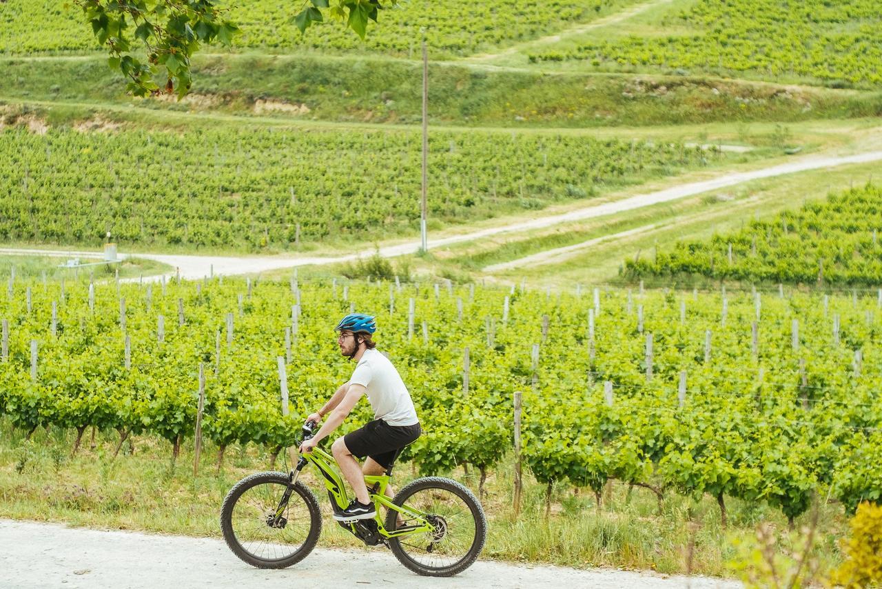 Domaine Calmel & Joseph Holiday home Montirat (Aude)