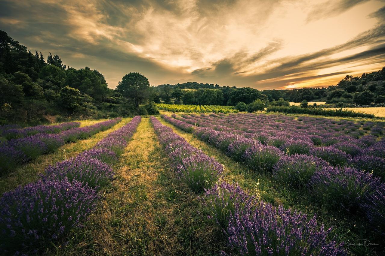 Domaine Calmel & Joseph Holiday home Montirat (Aude)